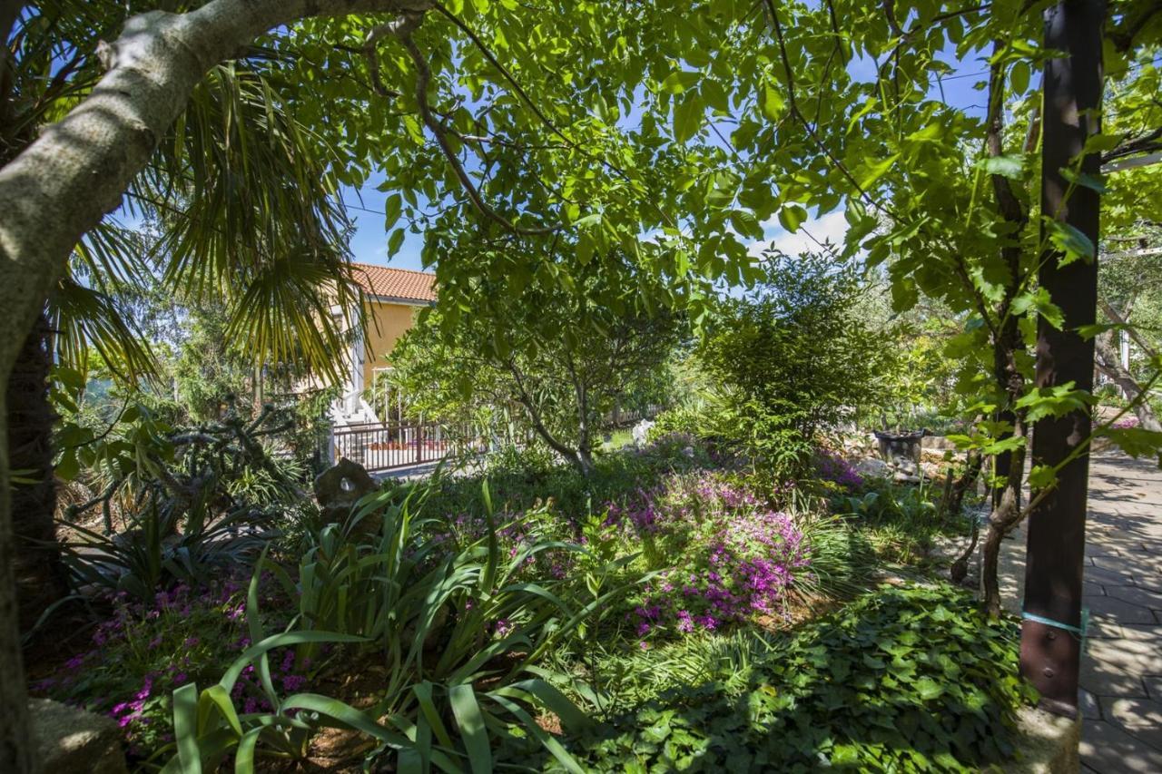 Apartment Vili Pinezići Kültér fotó